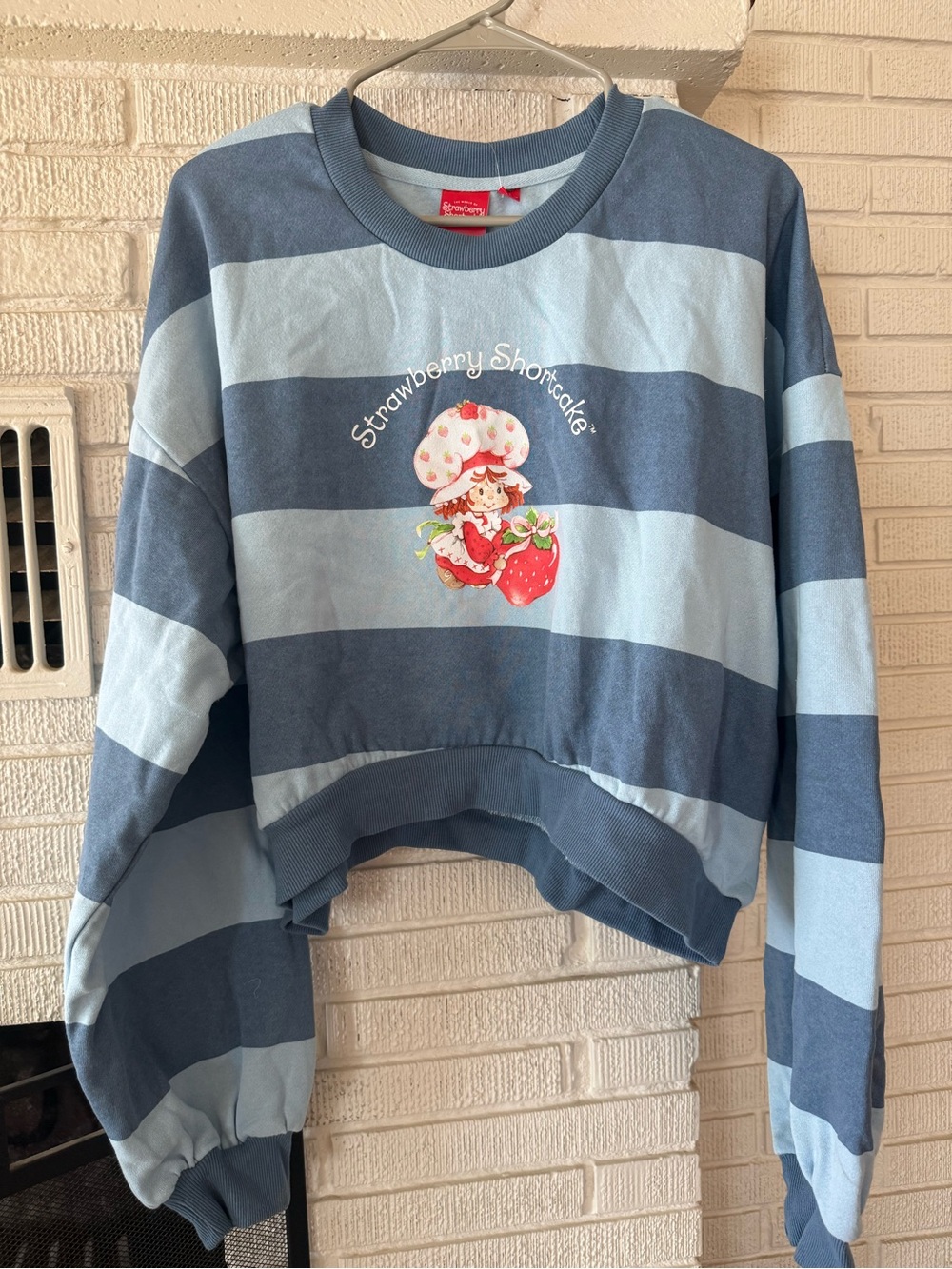 Strawberry Shortcake Blue Striped Cropped Crewneck Sweater